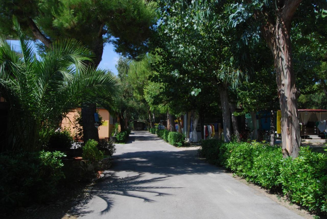 Villaggio Verde Cupra Cupra Marittima Esterno foto